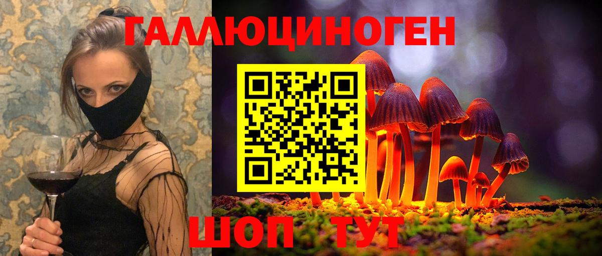 Галлюциногенные грибы Psilocybine cubensis  Вход с VPN  Псилоцибиновые грибы мицелий  Мончегорск 